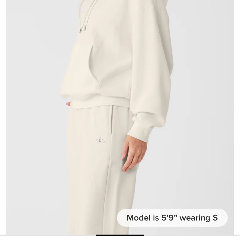 ALO accolade sweatsuit. Hoodie Sweatshirt and sweats size M. Barely worn!